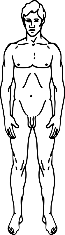 Pioneer plaque man as diagram template