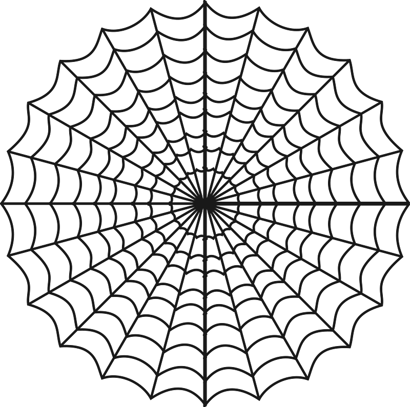 Spiders web