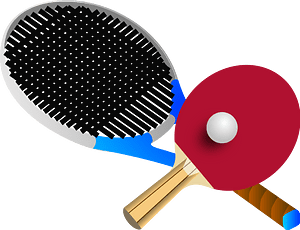 Icone Sports de raquette