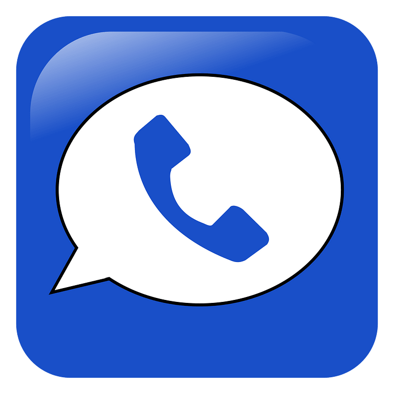Google voice (2009-2012)