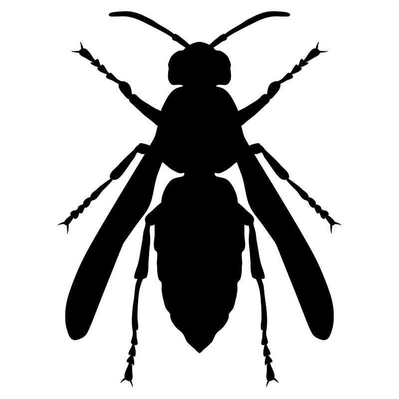 Hymenoptera icon