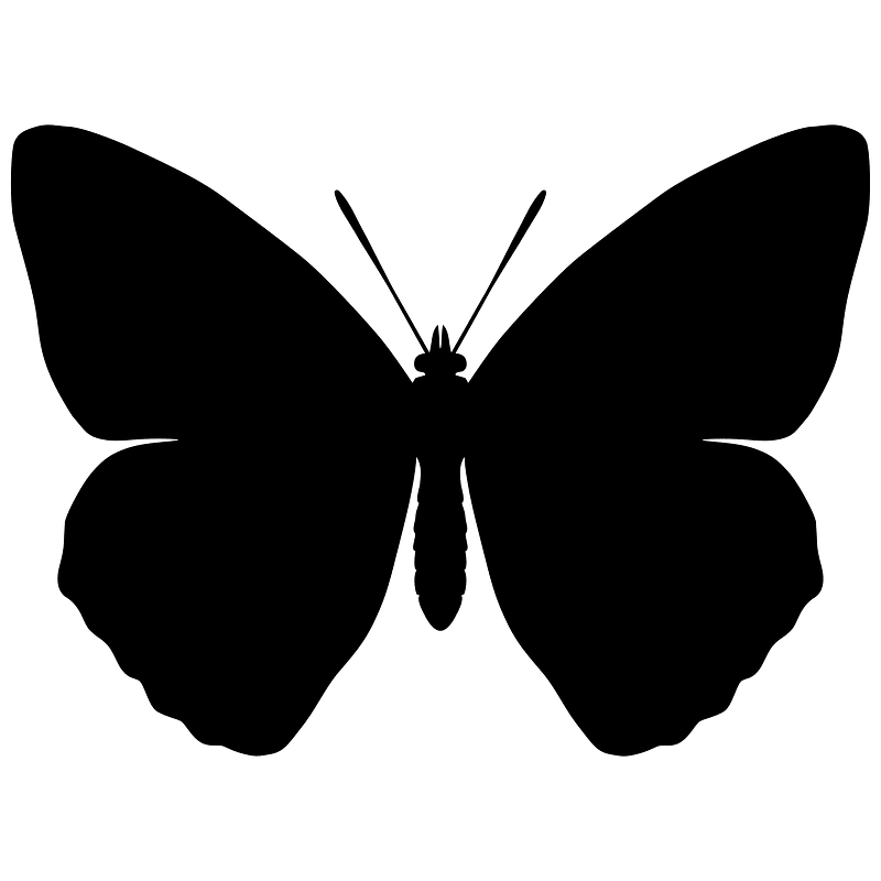 Lepidoptera Icon Free Vector Icons On Creazilla Com