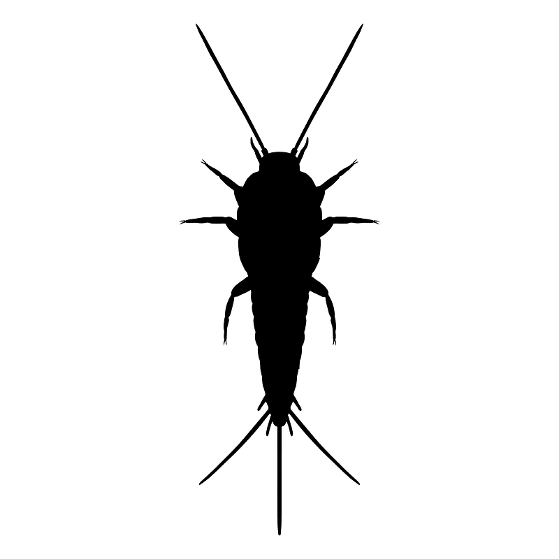 Zygentoma icon