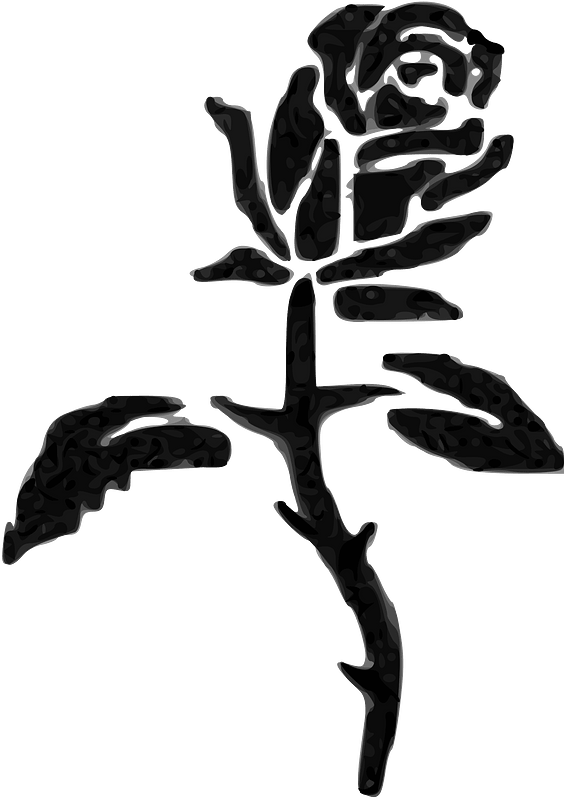 The Black Rose