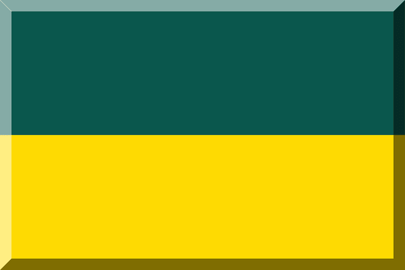 Bergamo Stars Atletica flag