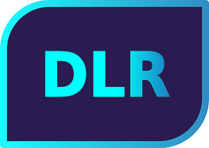 Sport records icon DLR