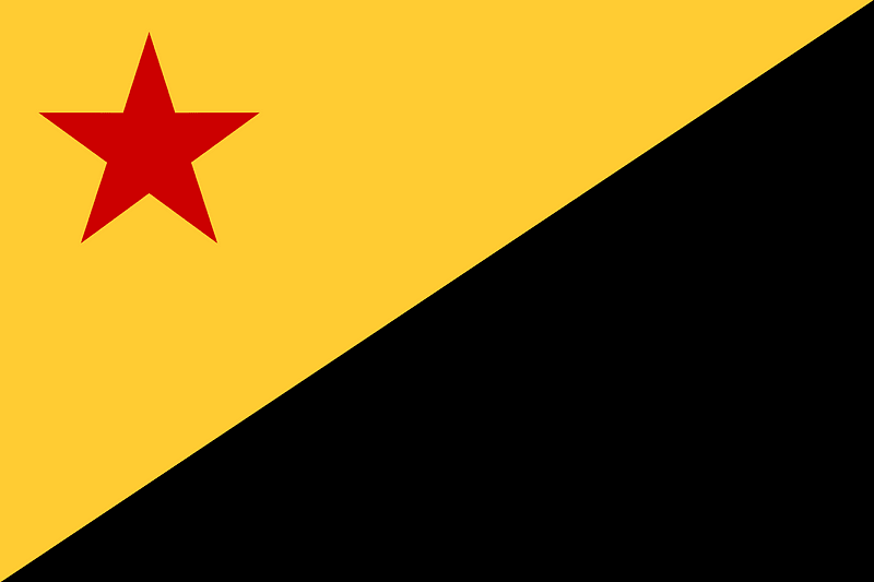 Flag of the Azanian People's Organisation