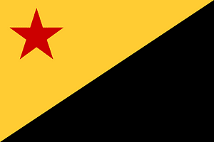 Flag of the Azanian People's Organisation