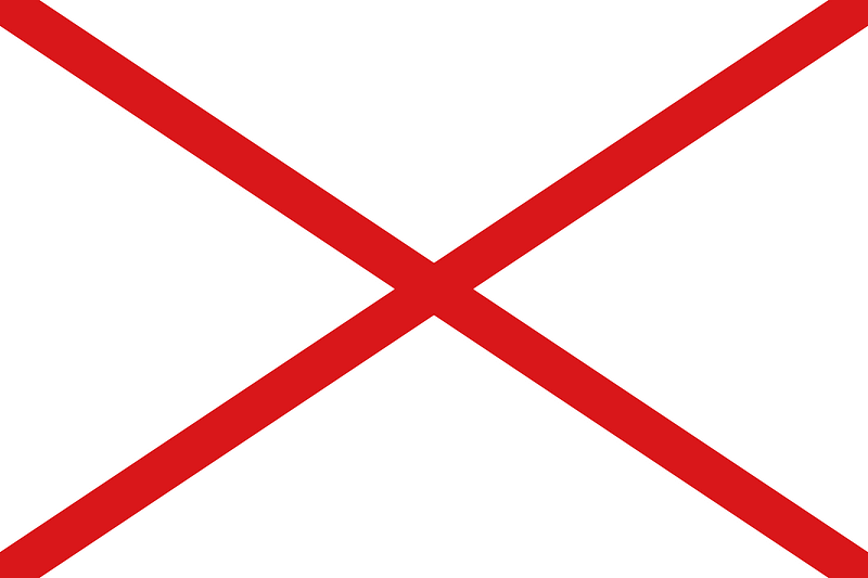 Flag of Valdivia, Chile