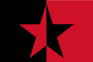 Flag of the EZLN (vertically divided)