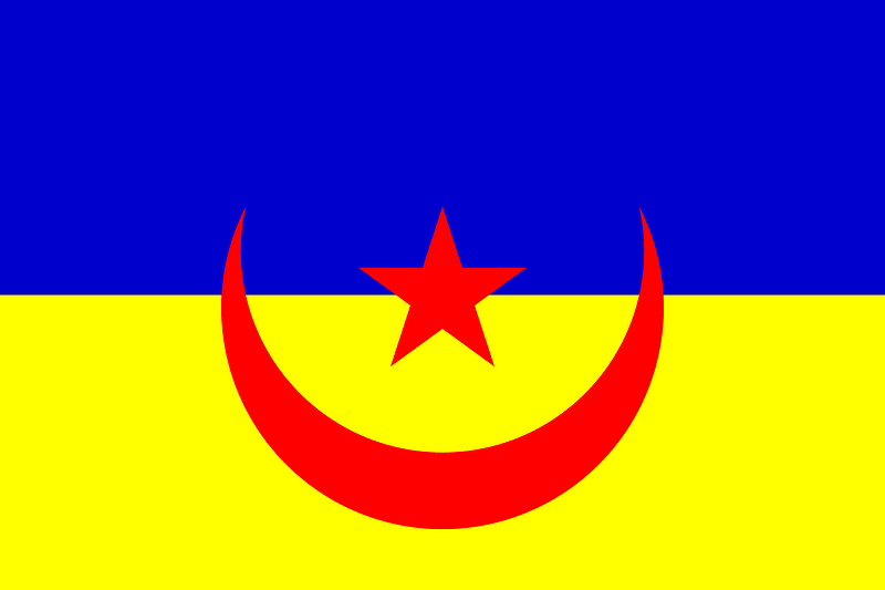 Flag of the Sahrawi National Union Party