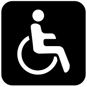 NingboRT Disabled Logo