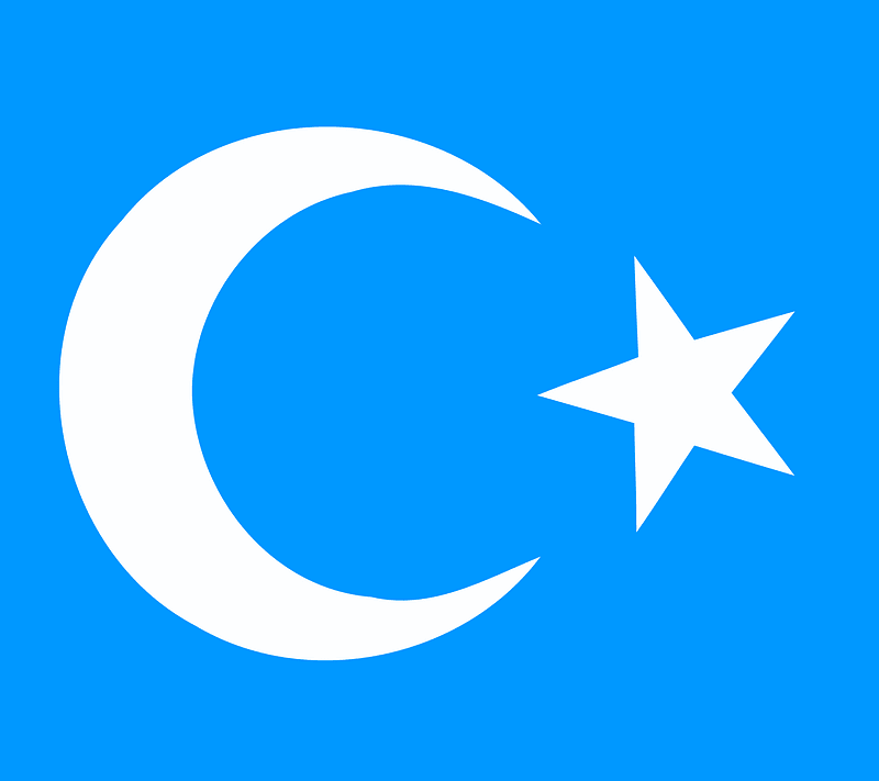 East Turkestan Logo