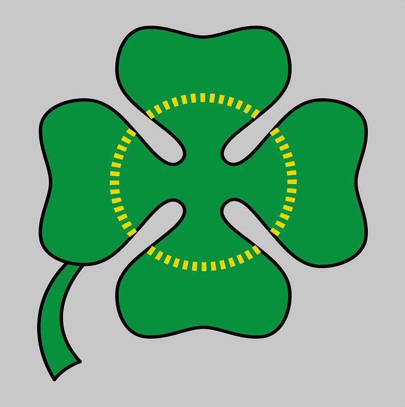 10ª Squadriglia Caproni