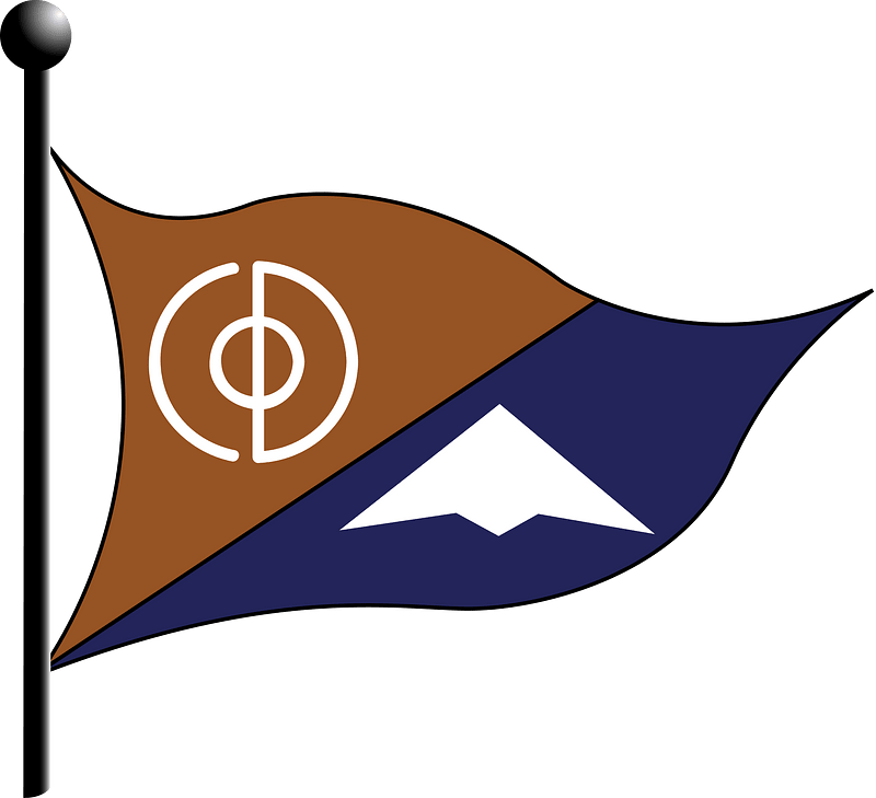Logo C D Olarizu