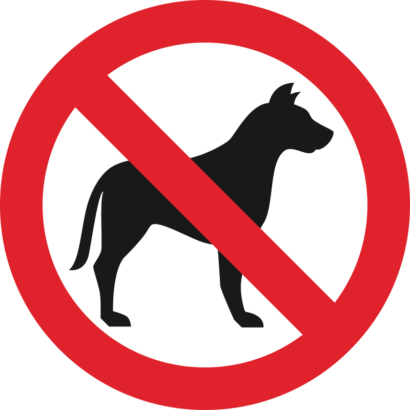 No dog
