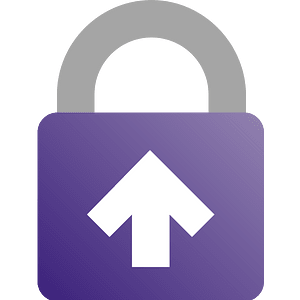 Logo-upload-protection