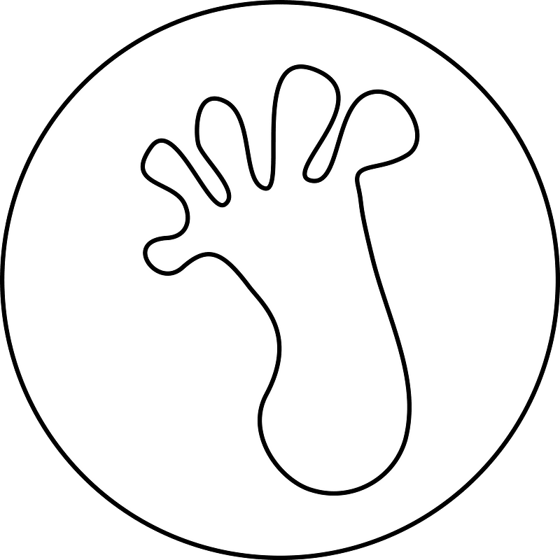 Foot