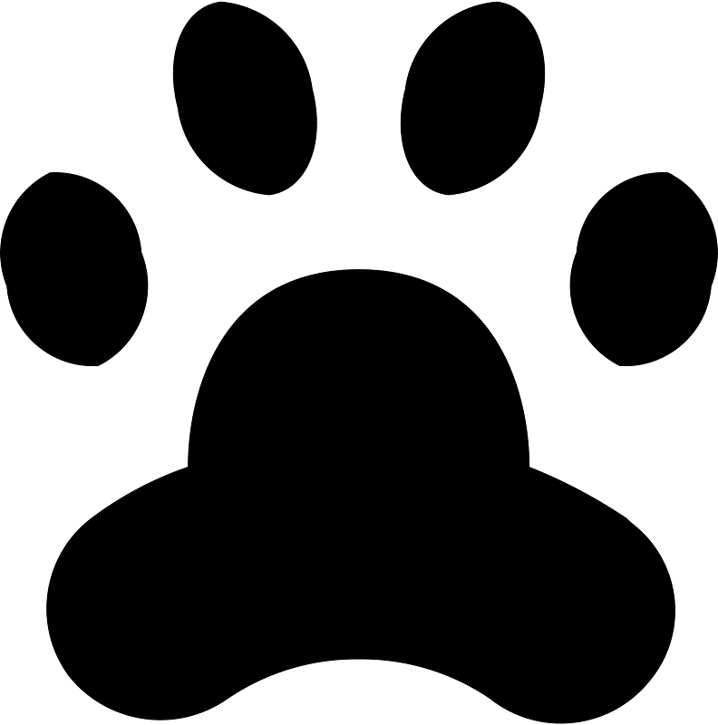 Pet