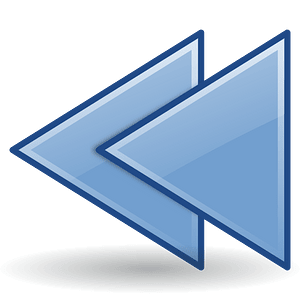 Rodentia Icons Media Seek Backward