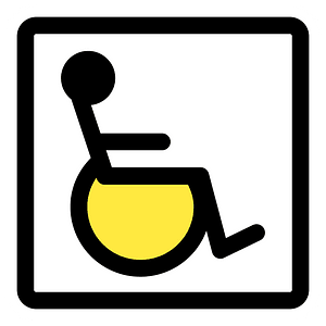 Accessibility Section.Svgz