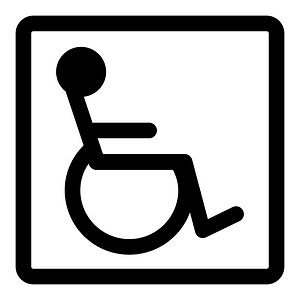 Accessibility Section.Svgz