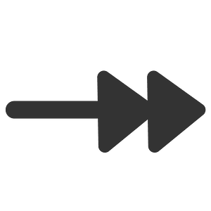 Ftline Double Arrow End