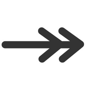 Ftline Double Line Arrow End