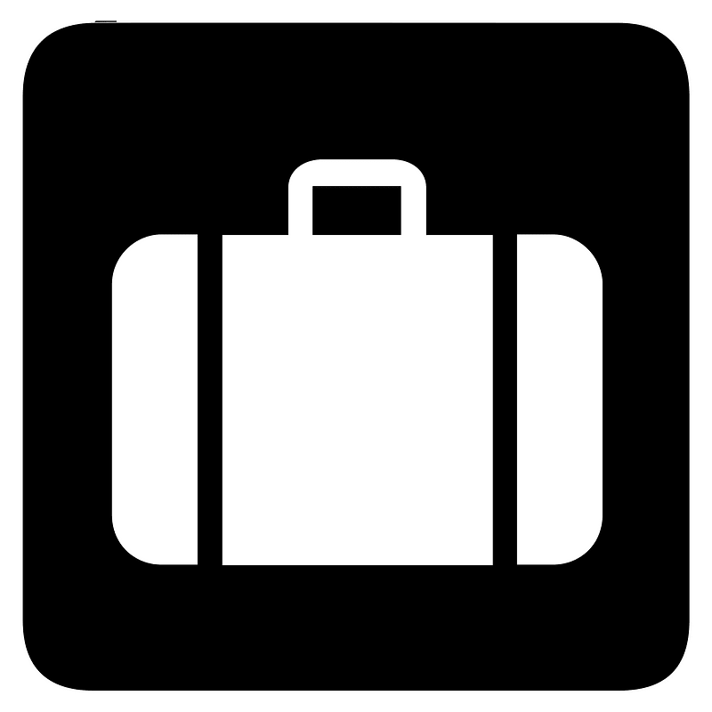 Aiga Baggage Check in Bg