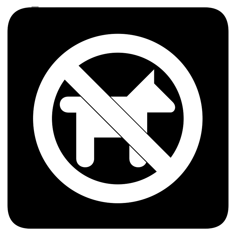 Aiga No Dogs Bg