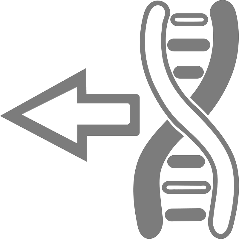 Dna arrow