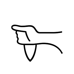Anatolian Hieroglyph A029