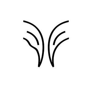 Anatolian Hieroglyph A054