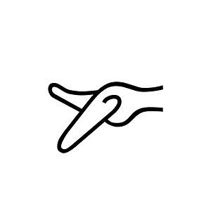 Anatolian Hieroglyph A055