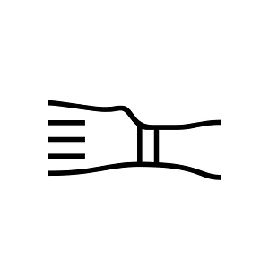 Anatolian Hieroglyph A060