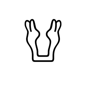 Anatolian Hieroglyph A072