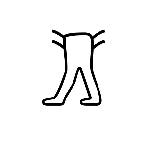 Anatolian Hieroglyph A080
