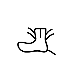 Anatolian Hieroglyph A081