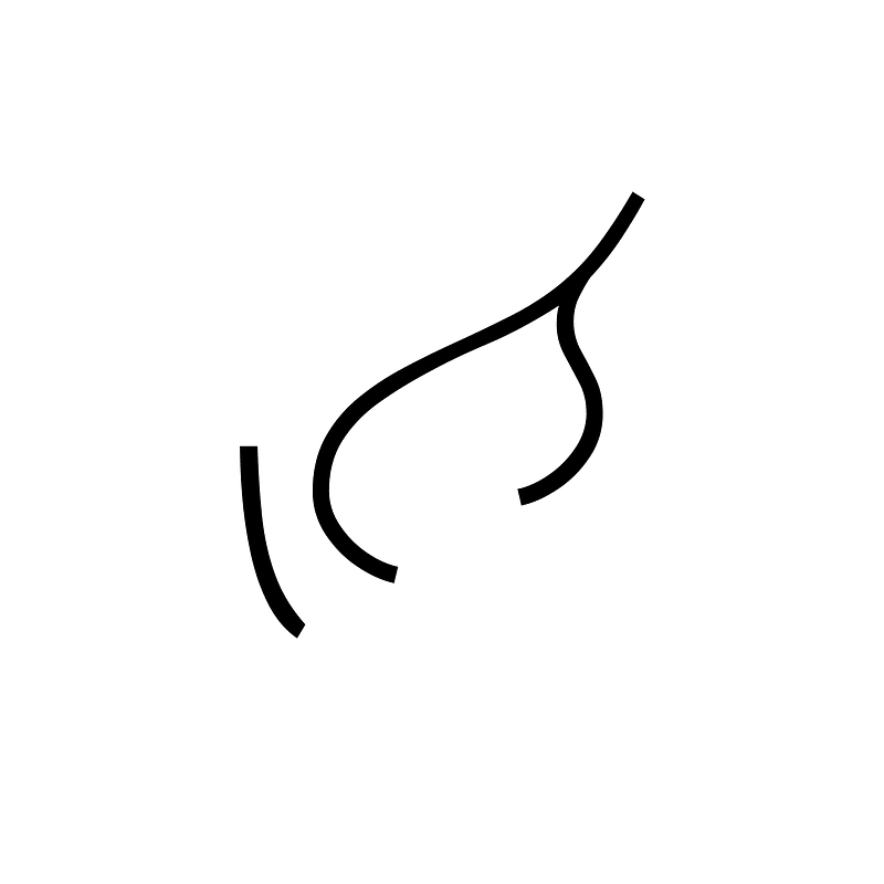 Anatolian Hieroglyph A105a