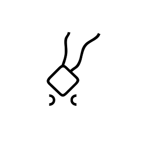 Anatolian Hieroglyph A113