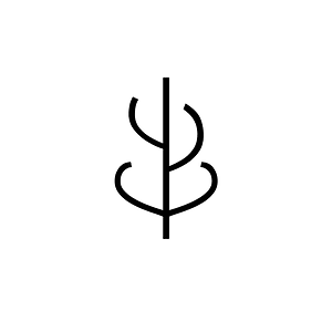 Anatolian Hieroglyph A150