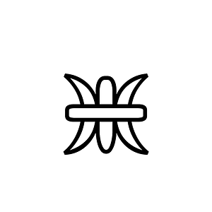 Anatolian Hieroglyph A164