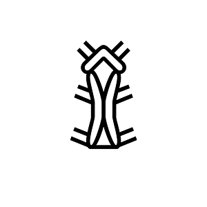 Anatolian Hieroglyph A165