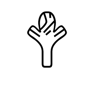 Anatolian Hieroglyph A170