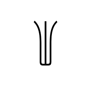 Anatolian Hieroglyph A196
