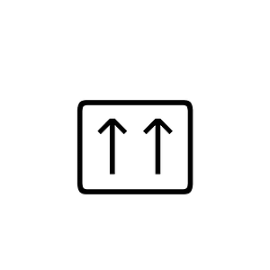 Anatolian Hieroglyph A206