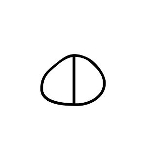 Anatolian Hieroglyph A215a