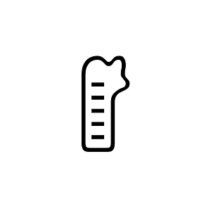Anatolian Hieroglyph A216