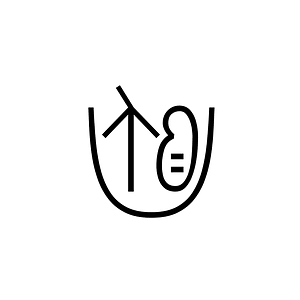 Anatolian Hieroglyph A269
