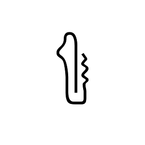 Anatolian Hieroglyph A273